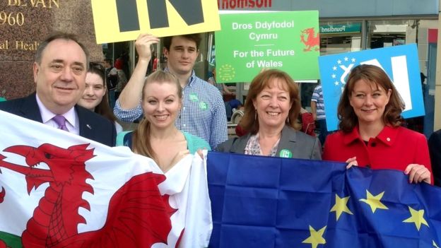 _90000450_eu_leanne_salmond2.jpg